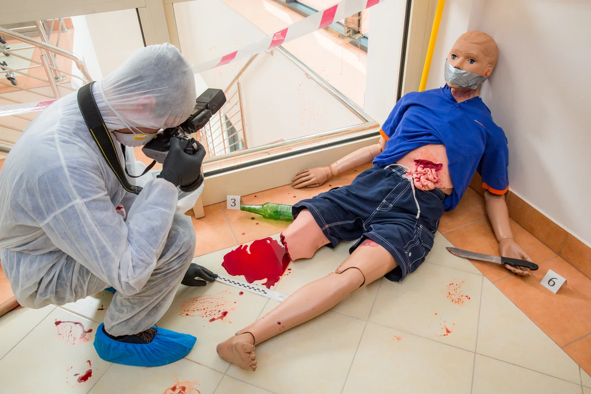 WSPiA Rzeszowska Szkoła Wyższa   1